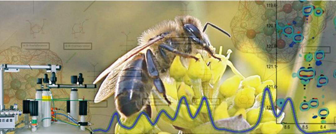 CSI-Food: Metabolomics und Co.